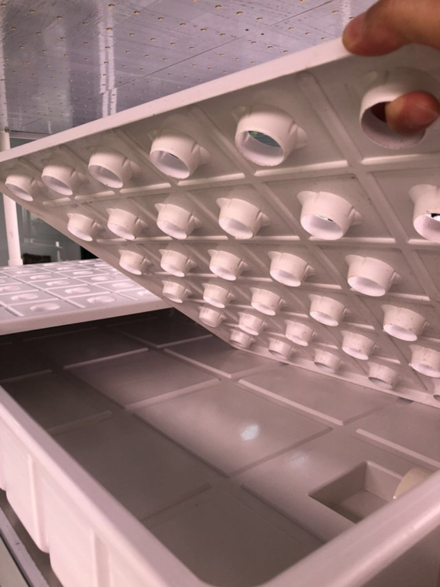 �߲������P